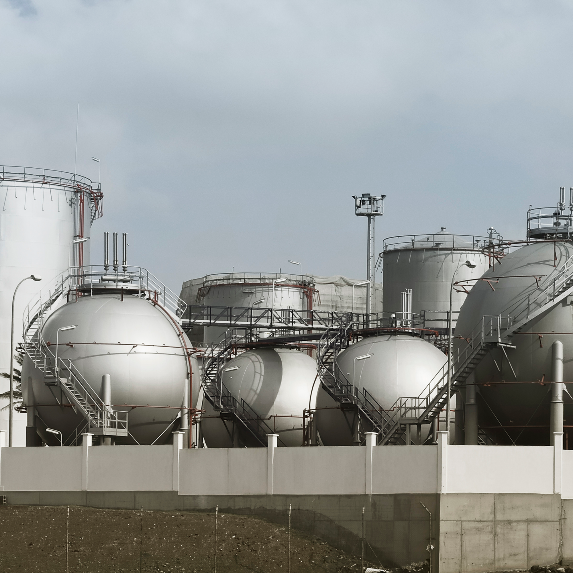 Petrochemical plant
